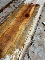 Beautiful Spalted redwood slab