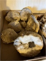 FOSSIL AND GEODE LOT