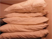 5 bed pillows