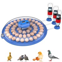 52 Egg Incubators for Chickens, Egg Candler,