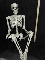 Awesome Pose and Stay Skeleton 60" Tall
