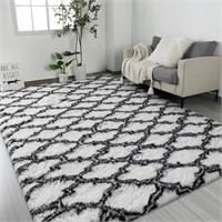 58 Large Shag Area Rugs for Bedroom, White Living