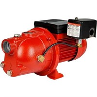Red Lion Cast Iron Shallow Well Jet Water Pump 816