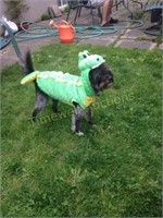 Gator/ Dragon Dog Costume