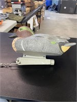 Duck decoy