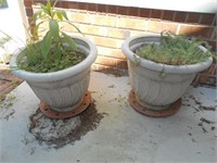 2 Plastic Flower Pots with Plants