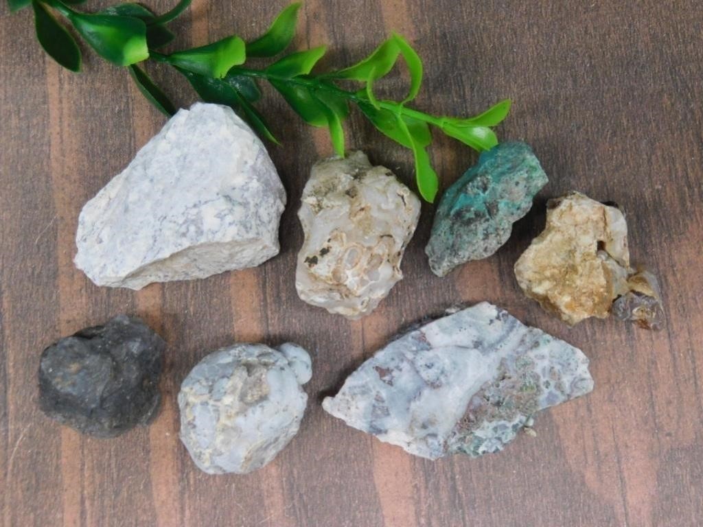 RARE FOSSILS, CRYSTALS, ROUGH ROCK, GEMSTONES, MINERALS, JEW