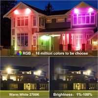LED 30W RGB Color Changing Smart Floodlight