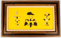 Mounted & Framed Native Am. Arrowhead Collection