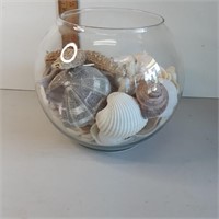 Seashells in a fish bowl