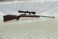 Sears 282 .22 Rifle Used