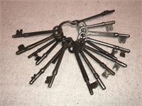 15 Skeleton Keys