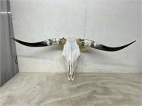 LONGHORN STEER WALL ART