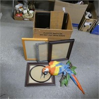 Burwood Parrot, Trophy & Various Frames