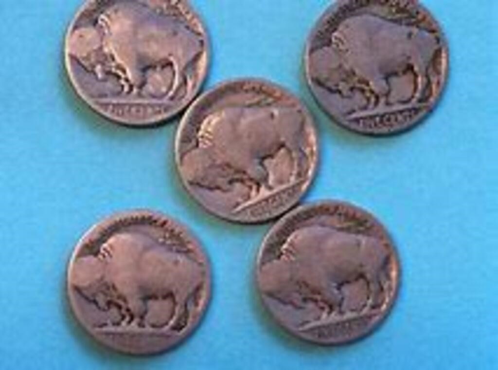 Bag of 5 Total Assorted BUFFALO Nickels Mixed Bag