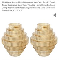 MSRP $15 Set 2 Vases