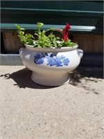 Decorative Planter with Flowering Plant, 10 inch