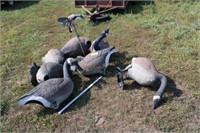 7 Bigfoot Style Goose Decoys & Mallard