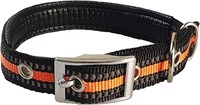 Sport Dog Collar Sturdy Flat Buckle Glow in The Da