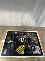 Donald Driver signed canvas print, not framed