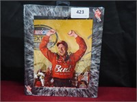 Action Hot Shotz Dale Earnhardt Jr Picture