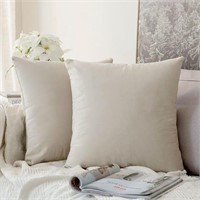MIULEE Pack of 2 Velvet Pillow Covers Decorative