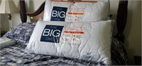 NEW The Big One Pillows (2)