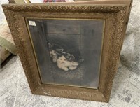 Antique Ornate Framed Kitten Print