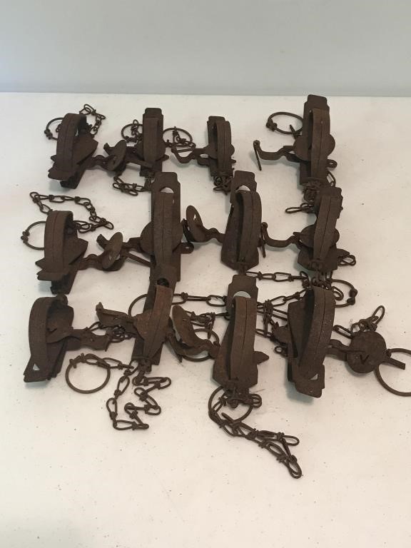 Assorted Metal Traps