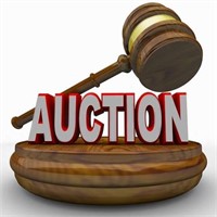 IT'S AUCTION TIME