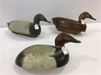 Lot of 3 Canvasbacks Including Hen & Drake