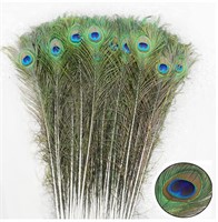 SendyFeather 30pcs Natural Peacock Feathers - NEW
