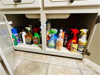 Household Cleaners & Insect Spray