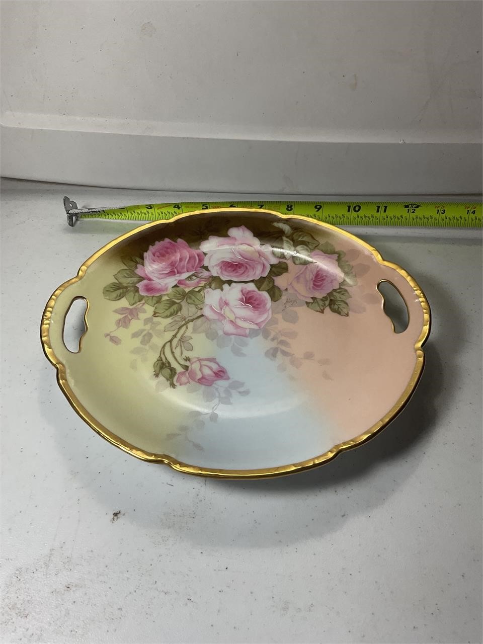 Antique Elite Limoges Hand Painted Plate