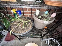 POTTED PLANTS ON SHELF