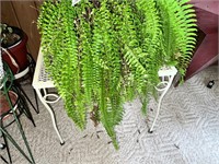 POTTED FERN ON METAL TABLE