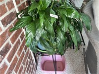 POTTED PLANT ON STAND
