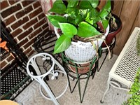 POTTED PLANT ON STAND