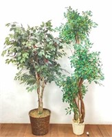 (2) Indoor Faux Trees (1) Ficus (1) Weeping Fig