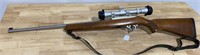 Ruger 10/22 Stainless w/Scope