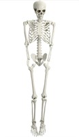 5.4 ft spooky Halloween party skeleton