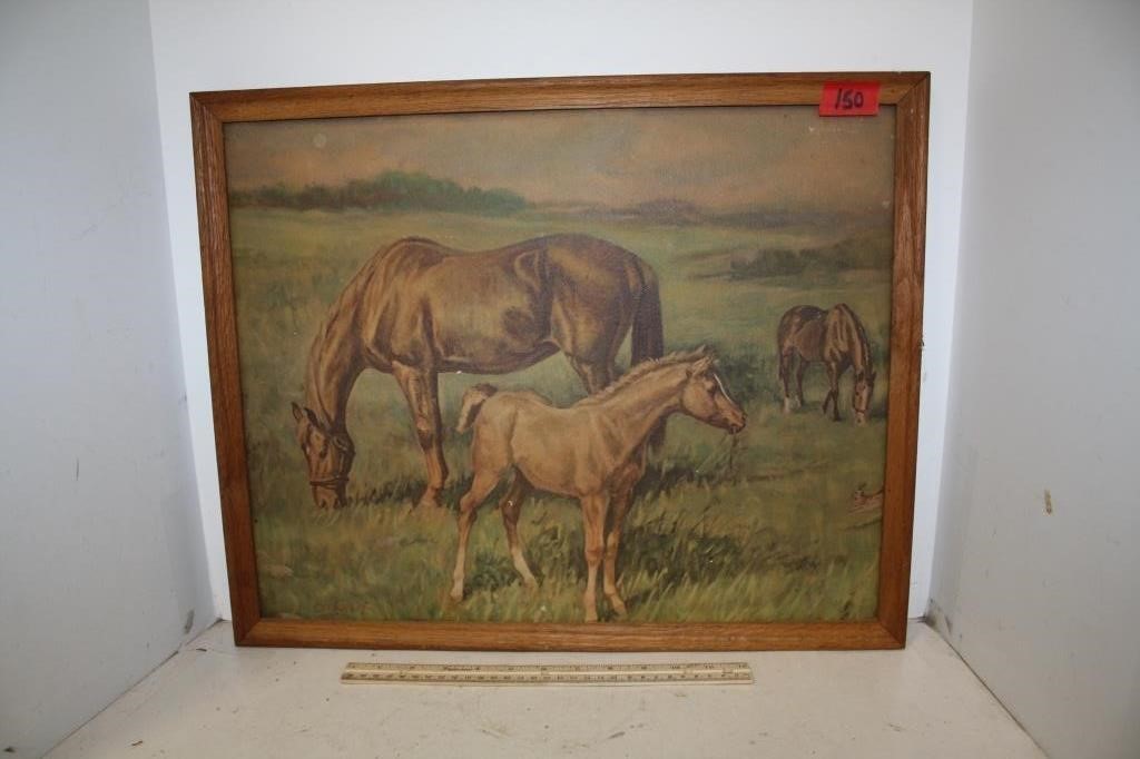 Horses Grazing Framed Print