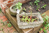 (2) Cement Flower Pots