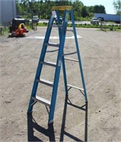 Werner 5Ft Fiber Glass Ladder
