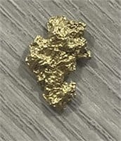 Alaska Gold Nugget #1