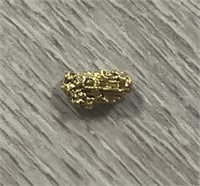 Alaska Gold Nugget #3