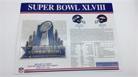 NFL Super Bowl Patch
