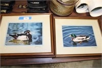 2 FRAMED DUCK PICTURES