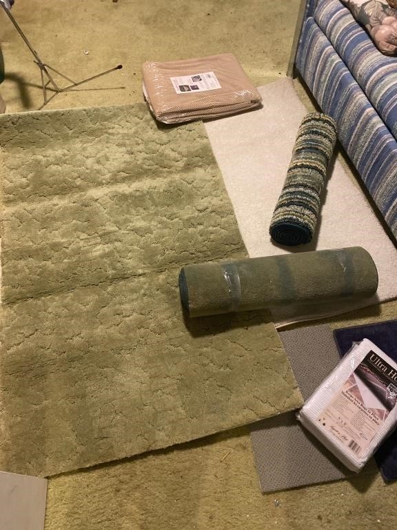 Area rugs and rug hold mats