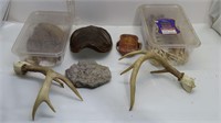 antlers, turtle shells, feathers